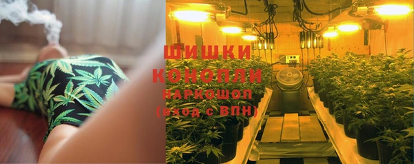 а пвп мука Надым
